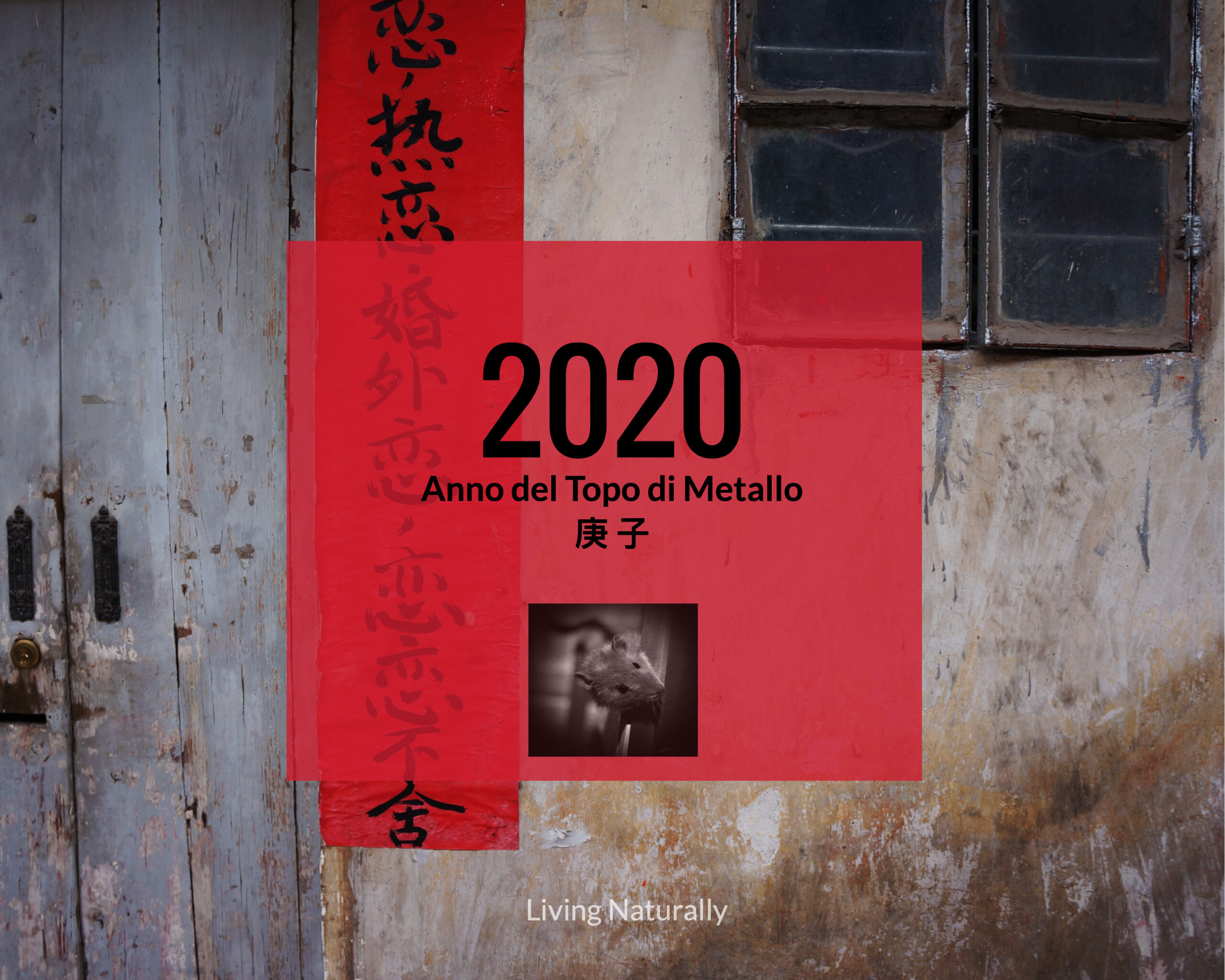 2020 Topo di Metallo